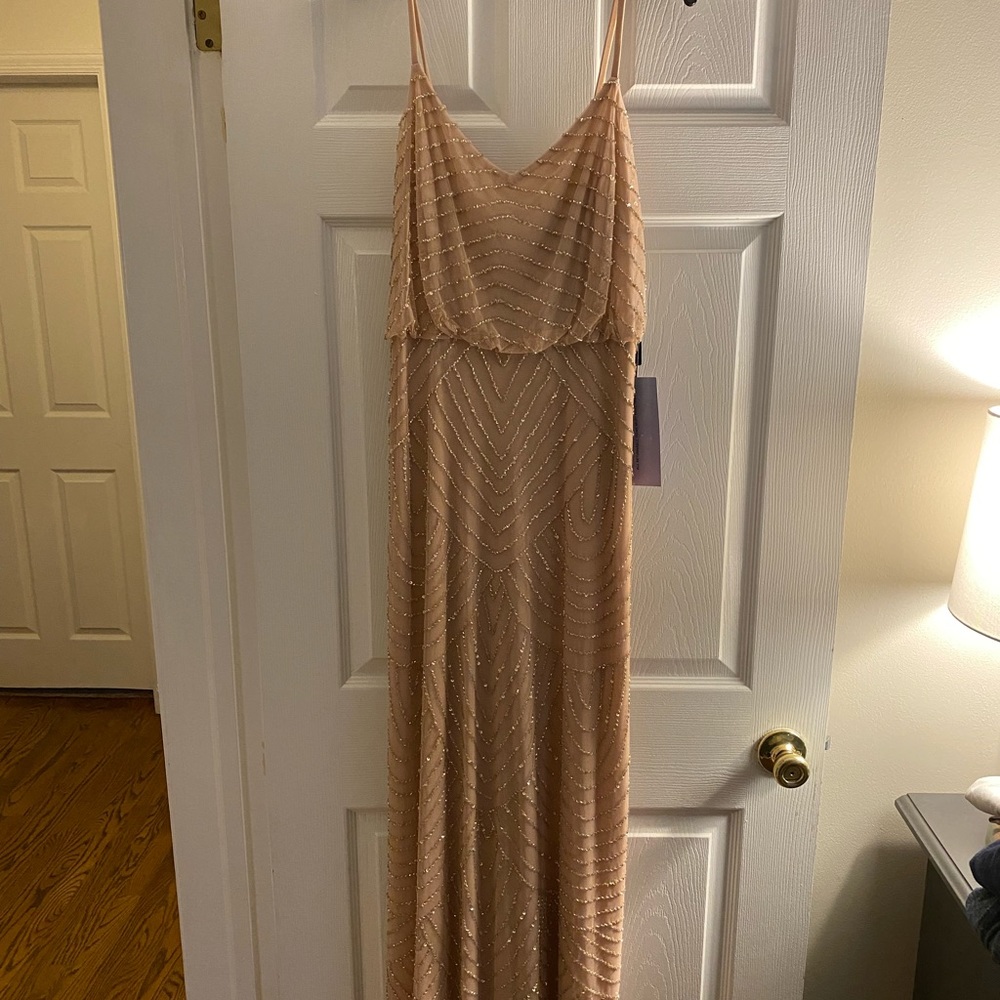 NEW WITH TAGS Adrianna Papell Long Blouson Dress, color “Blush”, SZ 6